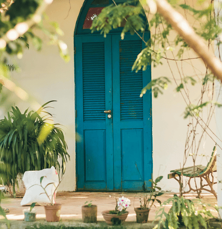 Home & Garden