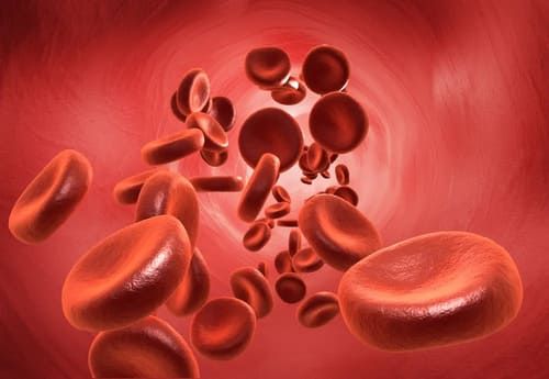 Hemophilia: The Royal Disease and Modern Management