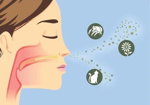 The Hidden Storm Within: Unraveling the Causes of Asthma
